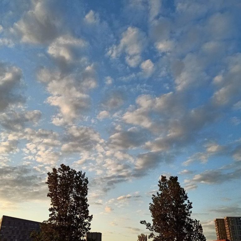 Veemkade